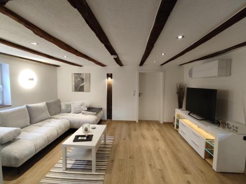 ein Wohnzimmer mit einem Sofa und einem TV in der Unterkunft FeWo Antweiler Unterburg in Mechernich