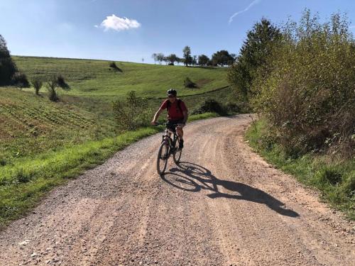 um homem a andar de bicicleta numa estrada de terra batida em Viata Naturala Green Life em Gălăşeni