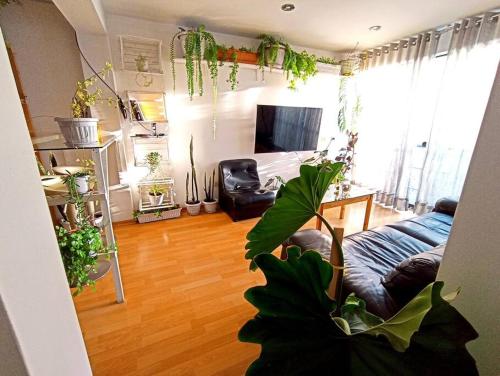 uma sala de estar com um sofá e muitas plantas em Cosy and full of plants apartment em Arequipa