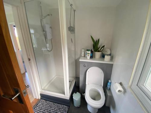 uma pequena casa de banho com WC e chuveiro em 27 Sea Valley Chalet em Bucks Mills