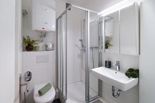 La salle de bains est pourvue d'une douche, de toilettes et d'un lavabo. dans l'établissement City Center Unique Boutique Apartment, à Hambourg