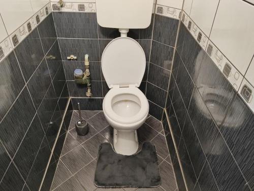 a bathroom with a toilet with a rug on the floor at City Sqare Apartment Verde in Skopje