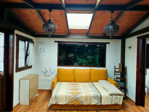 een slaapkamer met een gele bank en een groot raam bij CASA FINCA El ROQUE in La Guancha