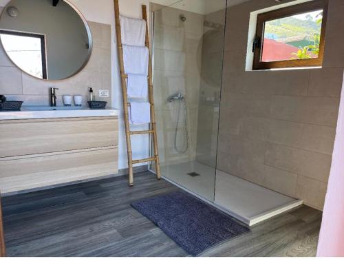 a bathroom with a shower with a ladder and a mirror at Finca La Calzada in Los Quemados