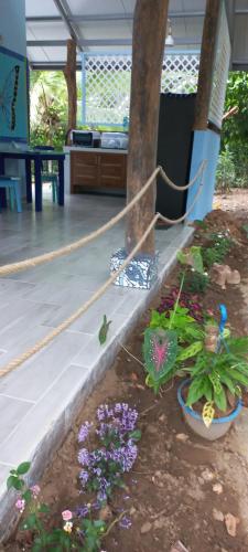 a garden with flowers and butterflies in a planter at Casa Katharina in Cahuita