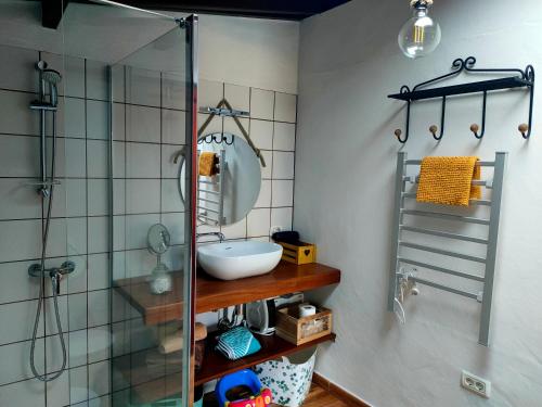 een badkamer met een glazen douche en een wastafel bij CASA FINCA El ROQUE in La Guancha