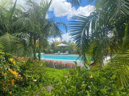 a swimming pool in a garden with palm trees at Te Whare Ma in Kerikeri