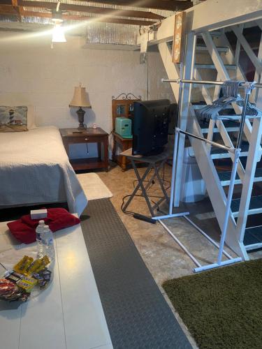 a bedroom with a bunk bed and a ladder at Entire space in Syracuse