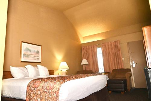 Newport的住宿－Fortune Inn & Suites，酒店客房设有床和窗户。