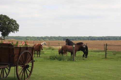 La Grange de Boulaines – Photos 4