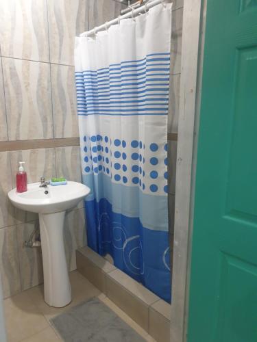 a bathroom with a shower curtain and a sink at Rooftop Inn Apartments in Piarco