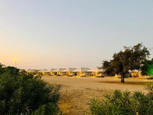 a row of lodges in a field with a tree at Charisma Desert Camping in Jaisalmer