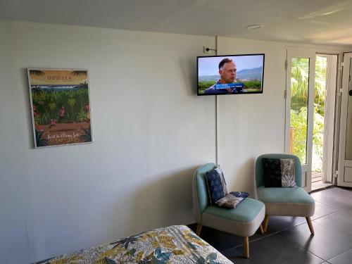 TV a/nebo společenská místnost v ubytování LEU MYOSOTIS Studio dans les Hauts de Saint-Leu Réunion