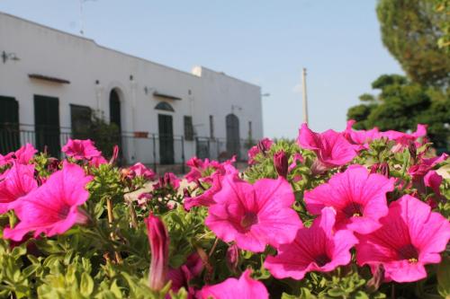 B&B Masseria Cappotto – Photos 2