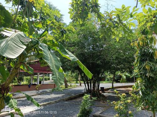 a group of trees in front of a building at Homestay Mẹ Khang 2 in Cu Chi