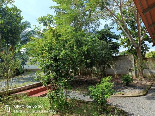 a garden with trees and a stone wall at Homestay Mẹ Khang 2 in Cu Chi