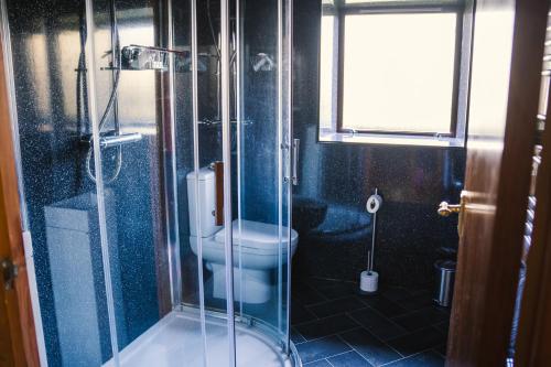 a bathroom with a toilet and a glass shower at 3-bedroom house for outdoor holidays in Alyth