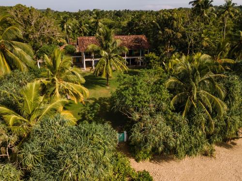 uma vista aérea de uma casa rodeada por árvores e arbustos em The Last House em Tangalle