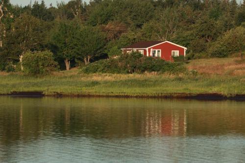 a red house on a hill next to a body of water at Waterfront House near Pomquet Beach- 2 bedrooms, Pet-Friendly in Antigonish