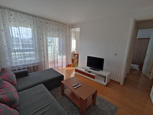un soggiorno con divano e TV di Apartment Tifani a Belgrado