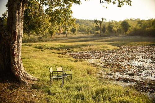 Bandhavgarh Meadows – Photos 2
