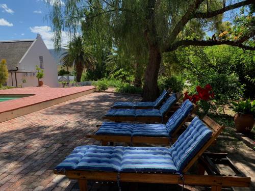 a row of blue lounge chairs under a tree at Port Wine Guesthouse in Calitzdorp