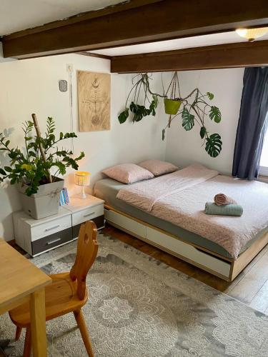 sypialnia z dwoma łóżkami z roślinami na ścianie w obiekcie Cozy Room in an old Farmhouse near Vaduz w mieście Sevelen