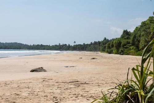 Landskap semula jadi dekat dengan hotel