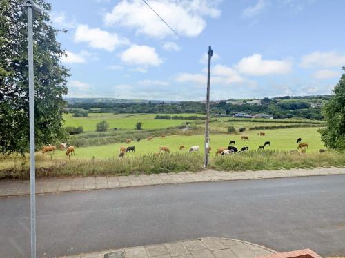 a herd of animals grazing in a field at A spacious home from home with spectacular views in Heywood