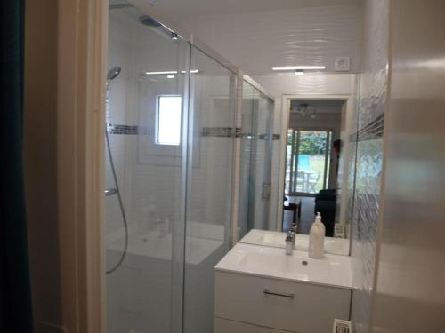 La salle de bains est pourvue d'une douche, d'un lavabo et d'un miroir. dans l'établissement Appartement terrasse jardin rive gauche du port, à Vannes