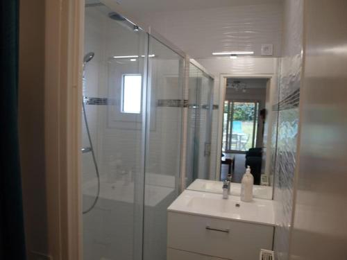 une salle de bain avec une douche, un lavabo et un miroir dans l'établissement Appartement terrasse jardin rive gauche du port, à Vannes