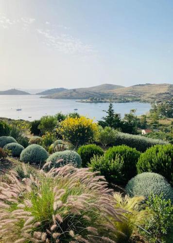 a garden with plants and a body of water at Villa Faros Vourkari Kea with private pool and stunning views in Vourkarion