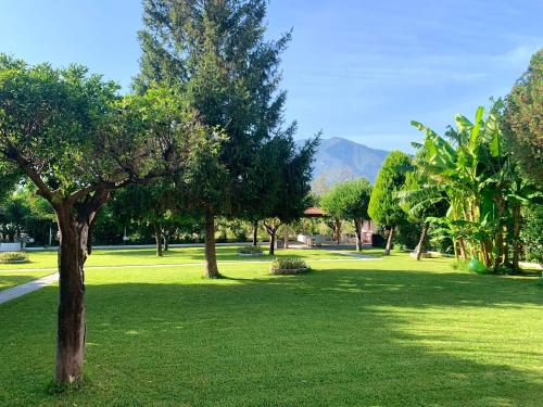 Villa Josette في Sant'Egidio del Monte Albino: حديقة بها عشب أخضر وأشجار بها جبال في الخلفية