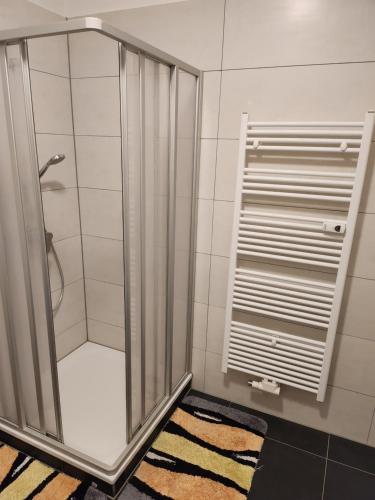 a shower stall in a bathroom with a rug at MD- Bukau Günstige 1 oder 2 e c h t e Schlafzimmer mit extra Küche u Bad für relax und verliebte von 18 bis 99 Jahre in Magdeburg