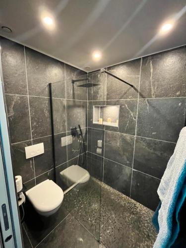 une salle de bain avec toilettes et douche en verre dans l'établissement Anemos Spa & Loft Jacuzzi privatif, à Gargenville