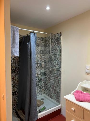 een douche in een badkamer met een douchegordijn bij Apartamento abierto con patio in Matadepera