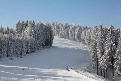 una pista sciistica con alberi coperti da neve e persone su di essa di Konsumhotel Oberhof - Berghotel Oberhof a Oberhof