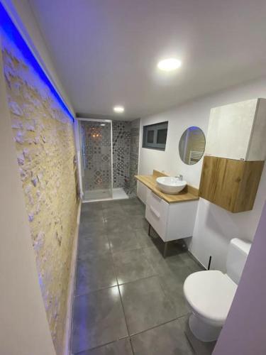 une salle de bain avec toilettes, lavabo et douche dans l'établissement Petite maison plain-pied climatisé, à Migné-Auxances