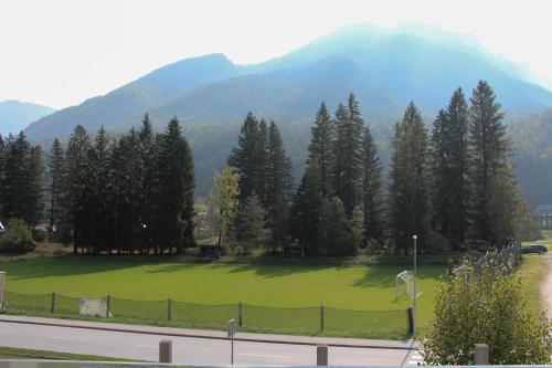 a large green field in front of a mountain at Apartment Simona in Kranjska Gora