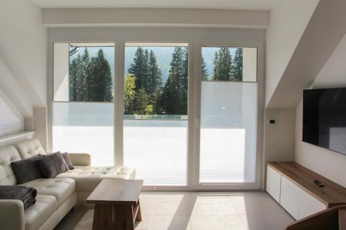 克拉尼斯卡戈拉Apartment Simona的带沙发和大窗户的客厅