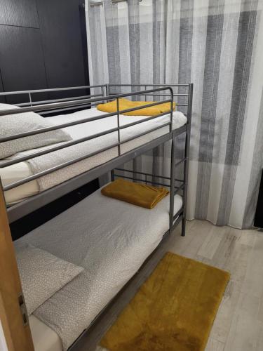 昂布瓦兹的住宿－Bel appartement spacieux et confortable idéalement situé，客房内的两张双层床