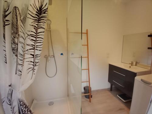 a bathroom with a shower and a sink at GITE LE MOULIN en Baie du MONT ST MICHEL in Bacilly