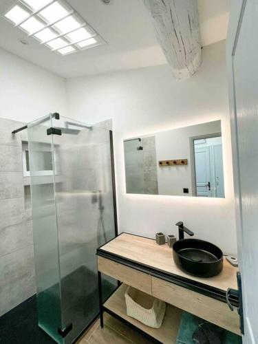 une salle de bain avec un lavabo et une douche en verre dans l'établissement Beautiful Top Floor & Terrasse (Beach 1' walk), à Nice