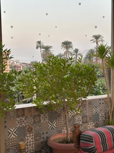 The Residence – Photos 2