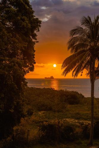 a sunset over the ocean with a palm tree at Stella Marris beachfront villa in Pointe aux Sable