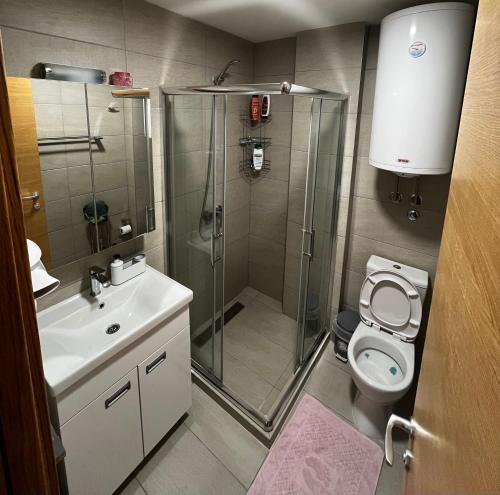 uma casa de banho com um chuveiro, um WC e um lavatório. em Apartments Myna in Kraljevi Cardaci em Kopaonik