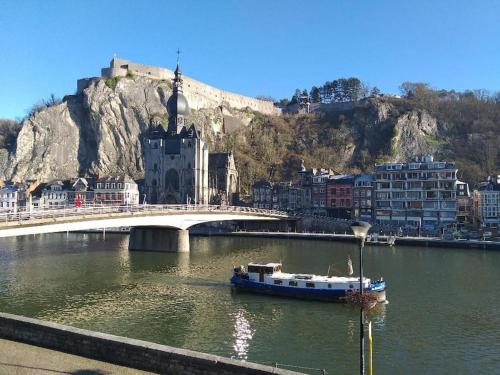 a boat in a river with a bridge and buildings at Appartement The View in Dinant