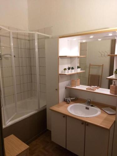 a bathroom with a sink and a shower at Appartement The View in Dinant