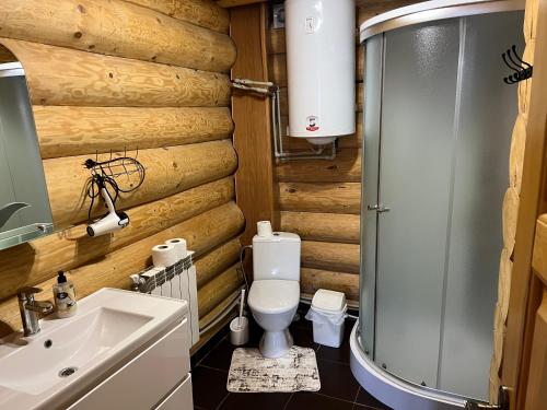 a bathroom with a toilet and a sink at Smerekovyi Dvir in Polyana