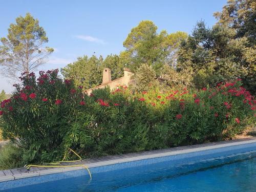 Piscina a Bastide gecko doré o a prop